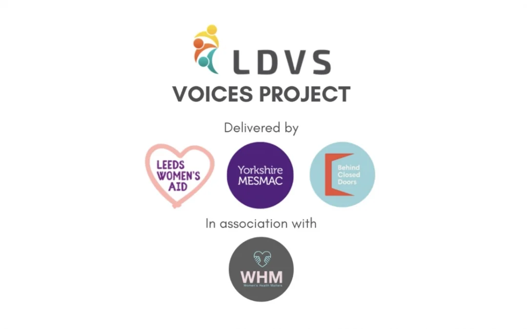 LDVS Podcast Project