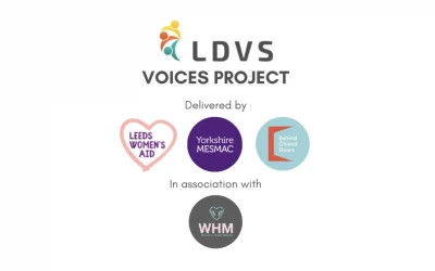 Voices Project – Engaging Survivors to Create Change