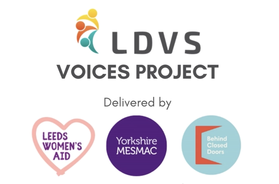 Voices Project – Engaging Survivors to Create Change